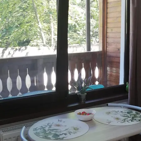 Apartment Sofia Caffee Poiana Brasov