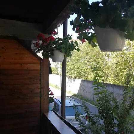 Apartment Sofia Caffee Poiana Brasov